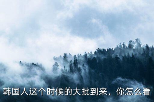 韓國人這個(gè)時(shí)候的大批到來，你怎么看