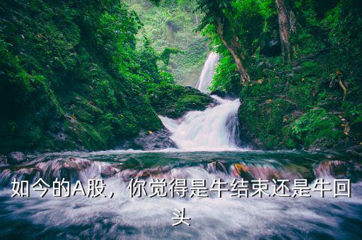 如今的A股，你覺得是牛結(jié)束還是?；仡^