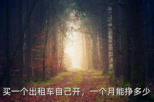 買一個出租車自己開，一個月能掙多少