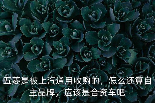 五菱是被上汽通用收購的，怎么還算自主品牌，應(yīng)該是合資車吧