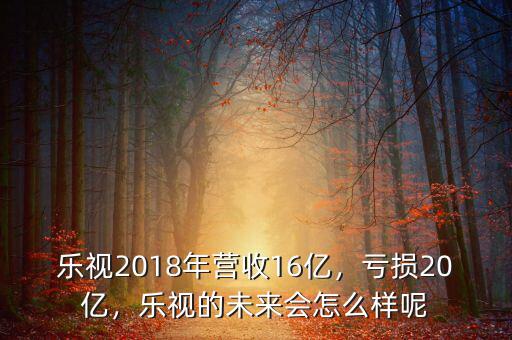樂視2018年營收16億，虧損20億，樂視的未來會怎么樣呢