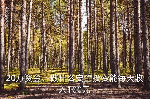20萬資金，做什么安全投資能每天收入100元