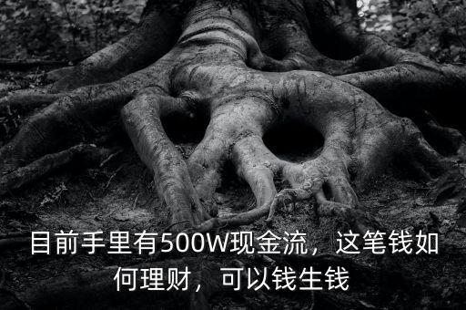 目前手里有500W現(xiàn)金流，這筆錢(qián)如何理財(cái)，可以錢(qián)生錢(qián)