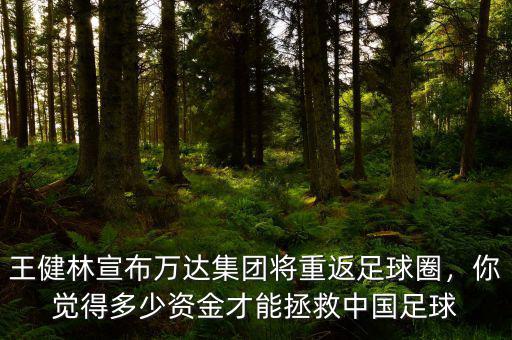 王健林宣布萬達集團將重返足球圈，你覺得多少資金才能拯救中國足球