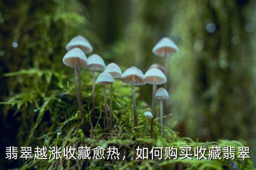 翡翠越漲收藏愈熱，如何購買收藏翡翠