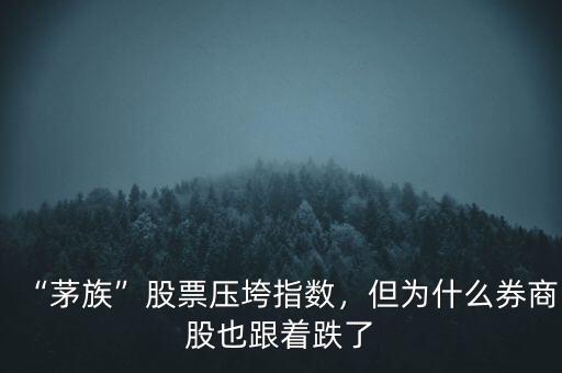 “茅族”股票壓垮指數(shù)，但為什么券商股也跟著跌了