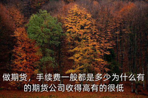 做期貨，手續(xù)費一般都是多少為什么有的期貨公司收得高有的很低