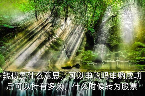 轉(zhuǎn)債是什么意思，可以申購(gòu)嗎申購(gòu)成功后可以持有多久，什么時(shí)候轉(zhuǎn)為股票