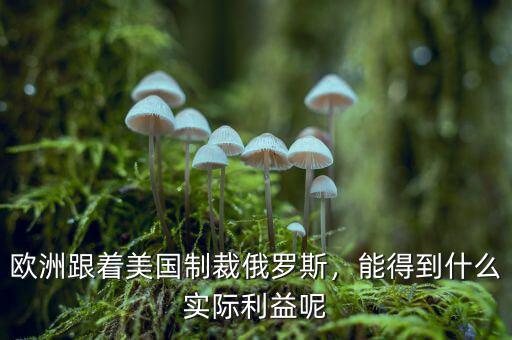 歐洲跟著美國制裁俄羅斯，能得到什么實(shí)際利益呢