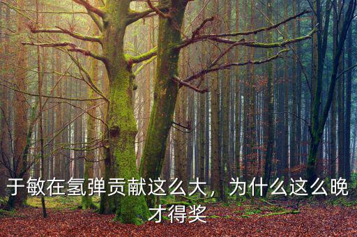 于敏在氫彈貢獻(xiàn)這么大，為什么這么晚才得獎(jiǎng)