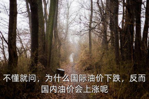 不懂就問，為什么國際油價(jià)下跌，反而國內(nèi)油價(jià)會上漲呢