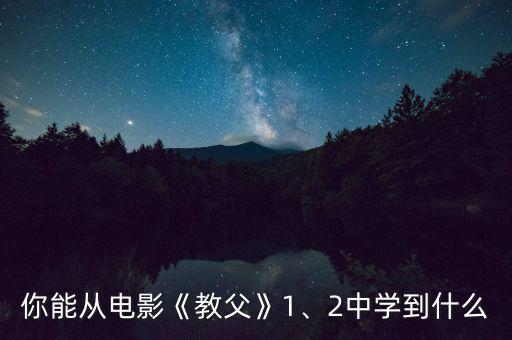 你能從電影《教父》1、2中學(xué)到什么