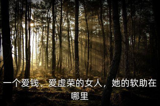 一個(gè)愛錢、愛虛榮的女人，她的軟助在哪里