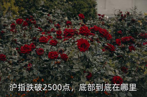滬指跌破2500點，底部到底在哪里