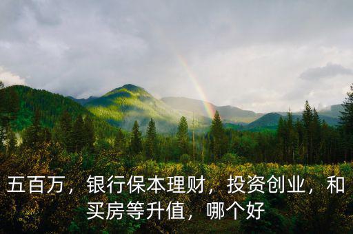 五百萬，銀行保本理財，投資創(chuàng)業(yè)，和買房等升值，哪個好