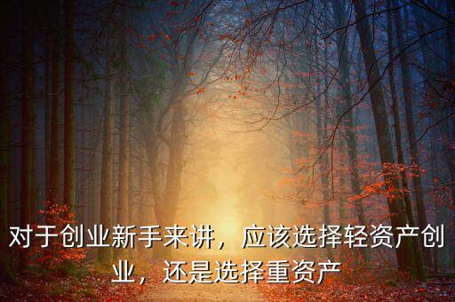 對(duì)于創(chuàng)業(yè)新手來(lái)講，應(yīng)該選擇輕資產(chǎn)創(chuàng)業(yè)，還是選擇重資產(chǎn)