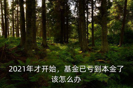 2021年才開(kāi)始，基金已虧到本金了該怎么辦