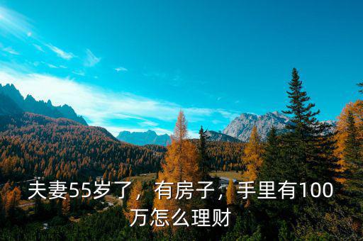 夫妻55歲了，有房子，手里有100萬怎么理財(cái)