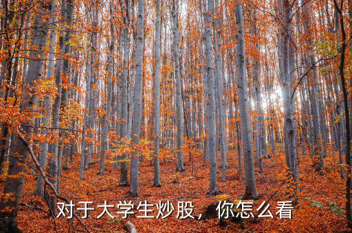對于大學(xué)生炒股，你怎么看