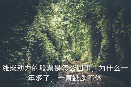 濰柴動力的股票是怎么回事，為什么一年多了，一直跌跌不休