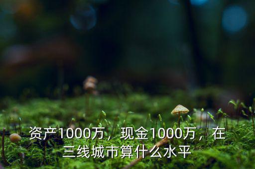 資產(chǎn)1000萬，現(xiàn)金1000萬，在三線城市算什么水平