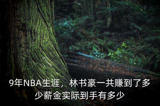 林書(shū)豪賺了多少錢,實(shí)際到手能有多少錢