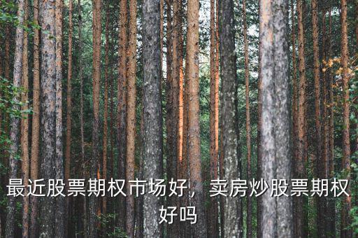 最近股票期權(quán)市場(chǎng)好，賣房炒股票期權(quán)好嗎