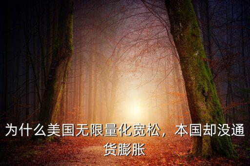 為什么美國無限量化寬松，本國卻沒通貨膨脹