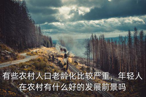 有些農(nóng)村人口老齡化比較嚴重，年輕人在農(nóng)村有什么好的發(fā)展前景嗎