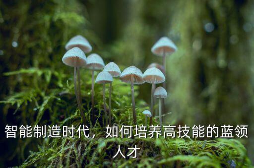 智能制造時(shí)代，如何培養(yǎng)高技能的藍(lán)領(lǐng)人才