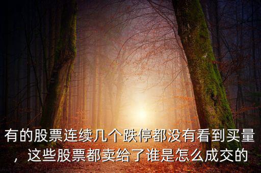 有的股票連續(xù)幾個(gè)跌停都沒(méi)有看到買量，這些股票都賣給了誰(shuí)是怎么成交的