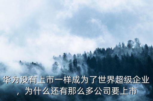 華為沒(méi)有上市一樣成為了世界超級(jí)企業(yè)，為什么還有那么多公司要上市