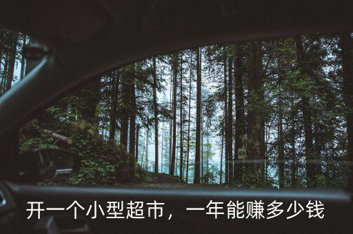 開一個(gè)小型超市，一年能賺多少錢