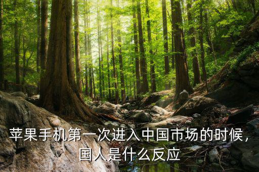 蘋果手機第一次進入中國市場的時候，國人是什么反應(yīng)
