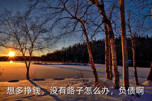 想多掙錢，沒(méi)有路子怎么辦，負(fù)債啊
