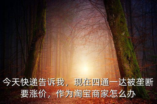 今天快遞告訴我，現(xiàn)在四通一達被壟斷要漲價，作為淘寶商家怎么辦