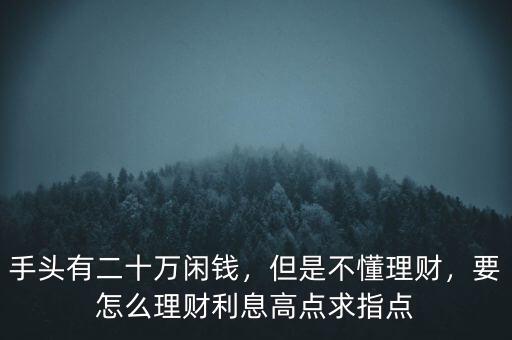 手頭有二十萬閑錢，但是不懂理財，要怎么理財利息高點求指點
