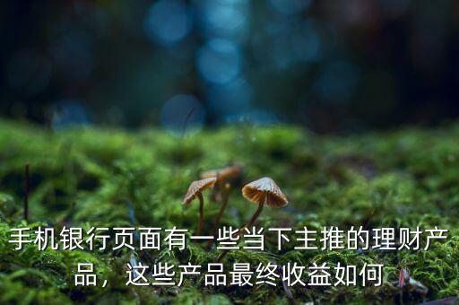 手機(jī)銀行頁面有一些當(dāng)下主推的理財(cái)產(chǎn)品，這些產(chǎn)品最終收益如何