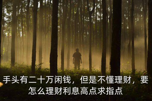 手頭有二十萬(wàn)閑錢(qián)，但是不懂理財(cái)，要怎么理財(cái)利息高點(diǎn)求指點(diǎn)