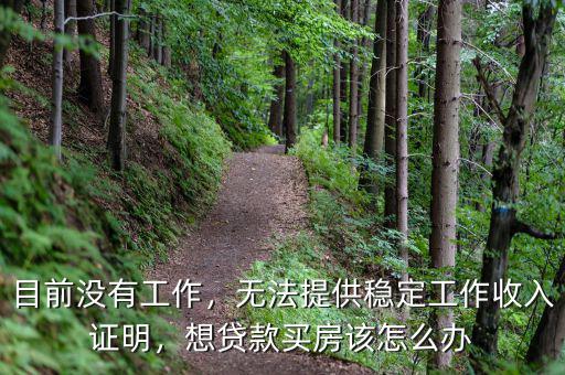 目前沒有工作，無法提供穩(wěn)定工作收入證明，想貸款買房該怎么辦