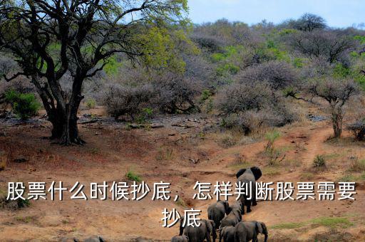 股票什么時(shí)候抄底，怎樣判斷股票需要抄底