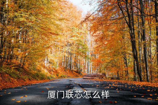 上海聯(lián)芯科技怎么樣,廈門(mén)聯(lián)芯怎么樣