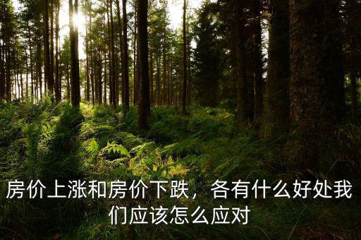 房價上漲和房價下跌，各有什么好處我們應該怎么應對