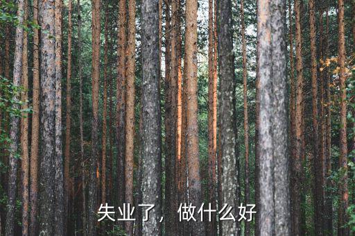 失業(yè)了，做什么好