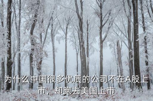 不盈利為什么能在美國上市,卻在美國上市。為什么