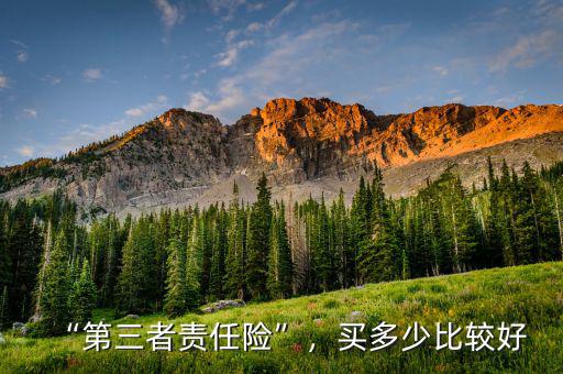 “第三者責(zé)任險(xiǎn)”，買(mǎi)多少比較好