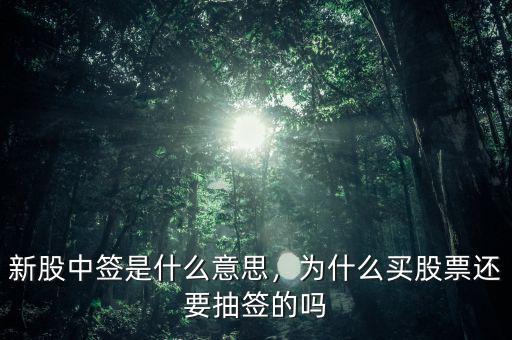 新股中簽是什么意思，為什么買股票還要抽簽的嗎