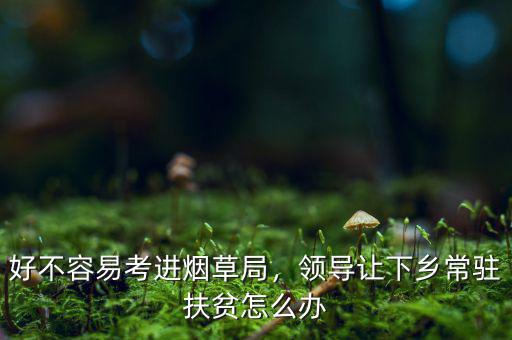 好不容易考進(jìn)煙草局，領(lǐng)導(dǎo)讓下鄉(xiāng)常駐扶貧怎么辦