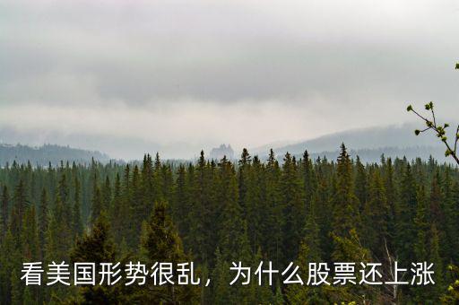 看美國(guó)形勢(shì)很亂，為什么股票還上漲