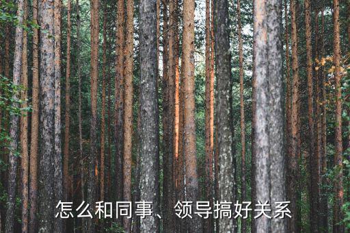 怎么和同事、領導搞好關系